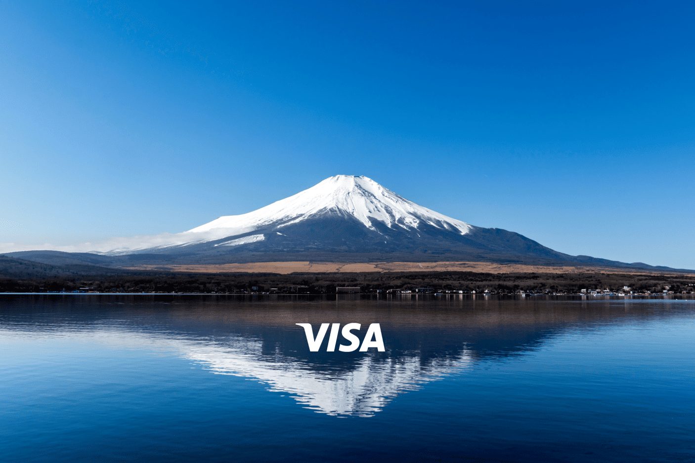 Visa Background